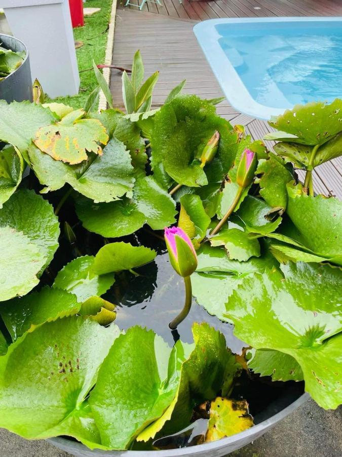 L'Est-Capade Bed & Breakfast Saint-Andre Ngoại thất bức ảnh
